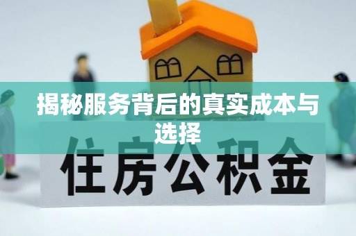 资讯揭秘服务背后的真实成本与选择