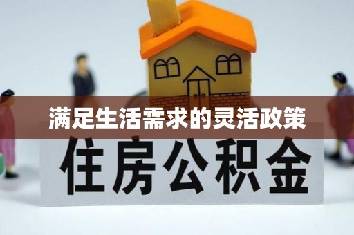 资讯满足生活需求的灵活政策