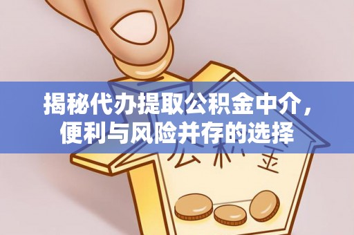 资讯揭秘代办提取公积金中介，便利与风险并存的选择