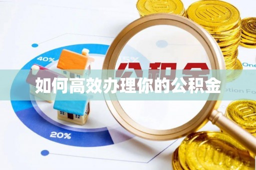 资讯如何高效办理你的公积金