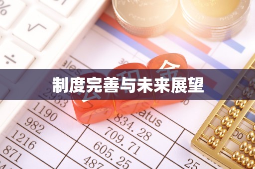 资讯制度完善与未来展望