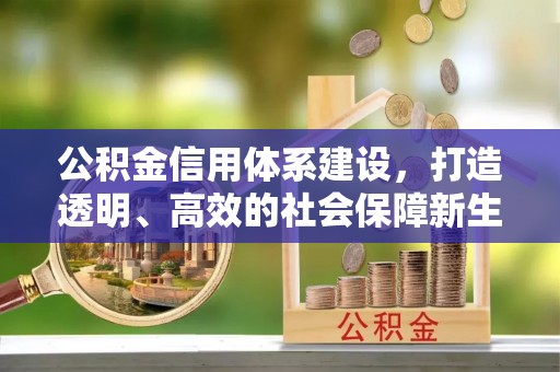 资讯公积金信用体系建设，打造透明、高效的社会保障新生态