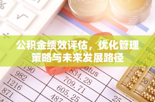 资讯公积金绩效评估，优化管理策略与未来发展路径