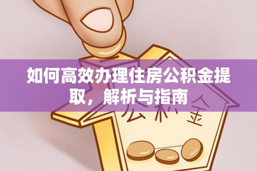资讯如何高效办理住房公积金提取，解析与指南