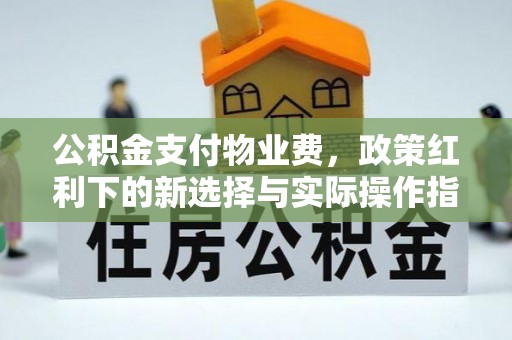 资讯公积金支付物业费，政策红利下的新选择与实际操作指南