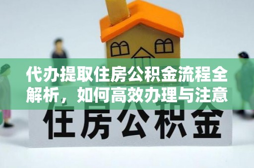 资讯代办提取住房公积金流程全解析，如何高效办理与注意事项