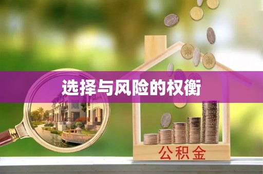 资讯选择与风险的权衡