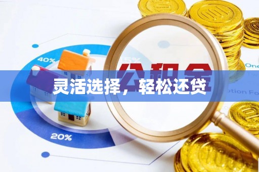 资讯灵活选择，轻松还贷
