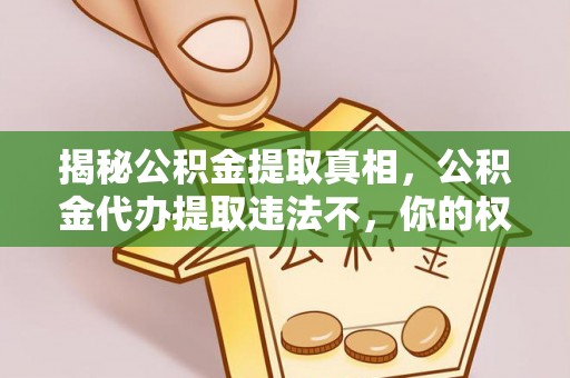 资讯揭秘公积金提取真相，公积金代办提取违法不，你的权益如何保障？