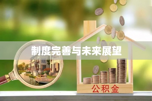 资讯制度完善与未来展望
