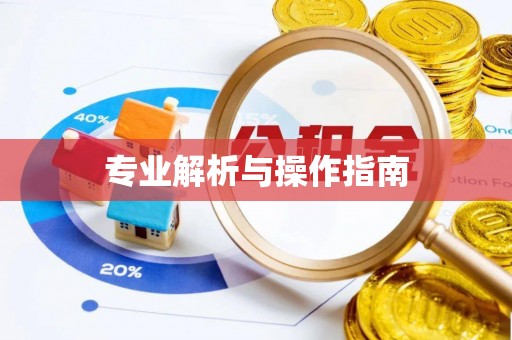 资讯专业解析与操作指南