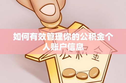 资讯如何有效管理你的公积金个人账户信息