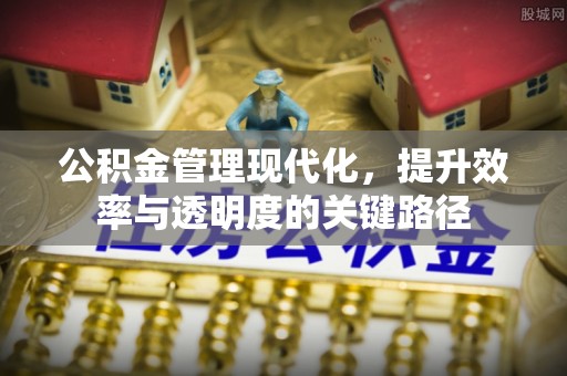 资讯公积金管理现代化，提升效率与透明度的关键路径