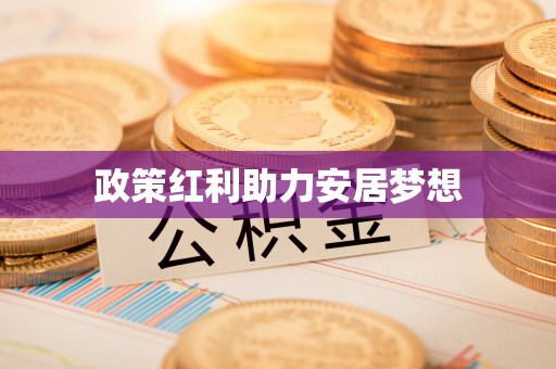 资讯政策红利助力安居梦想