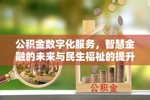 资讯公积金数字化服务，智慧金融的未来与民生福祉的提升
