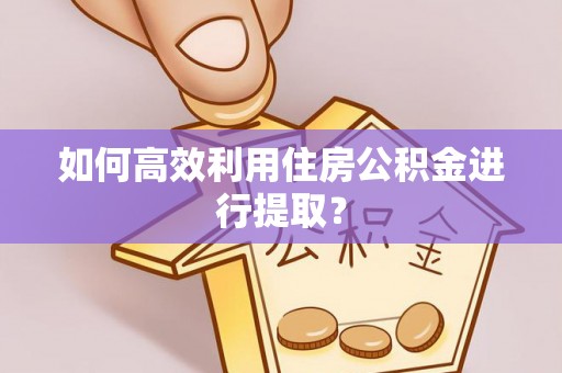 资讯如何高效利用住房公积金进行提取？