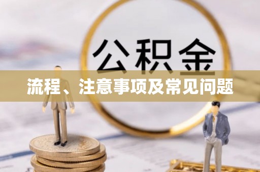 资讯流程、注意事项及常见问题