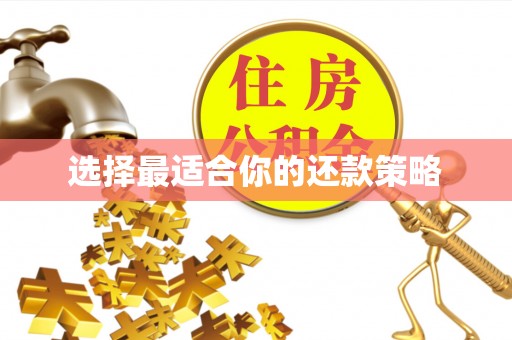 资讯选择最适合你的还款策略