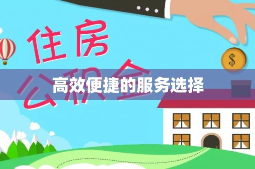 资讯高效便捷的服务选择