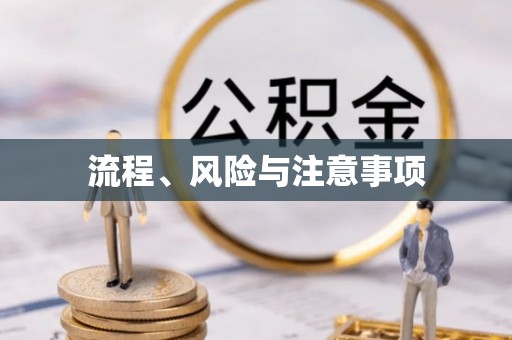 资讯流程、风险与注意事项